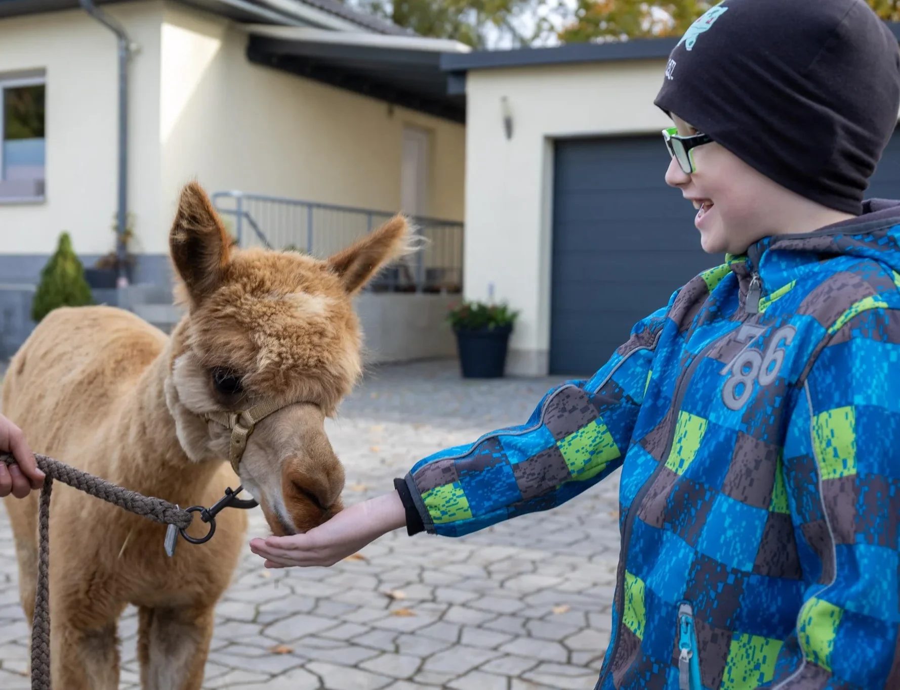 logopaedie_katja_scheithauer_junge_und_alpaca